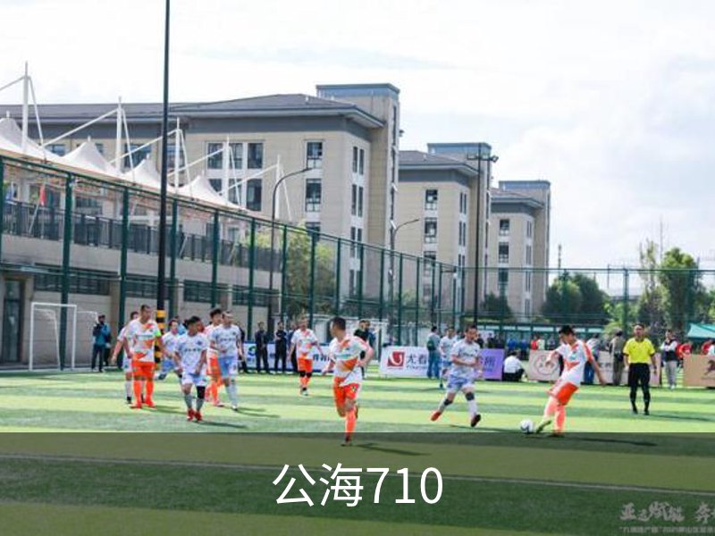 公海710概况